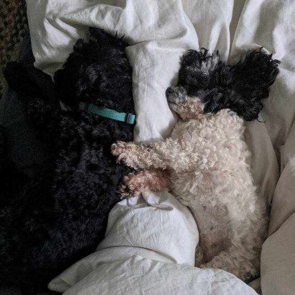 Posh Ambassador...Robyn💗 - Picture 9 of 10